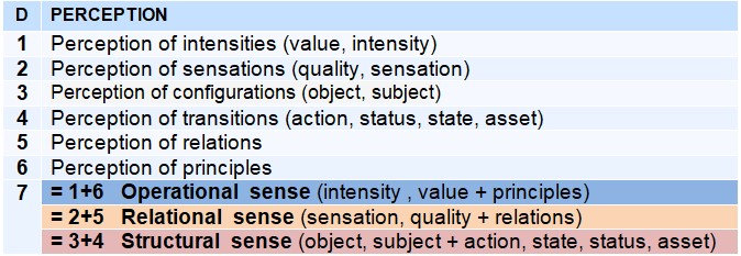 Typology of perceptions — Operative, relational and structural senses