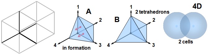 019 - Extension of the structure toward the fourth dimension (4D) Illustration of the 4D structure: stacking of two tetrahedra forming a four-dimensional cell, representation of a 4D cube, a cell in formation (A), two fused tetrahedra (B), and two spherical cells sharing a volumetric face.