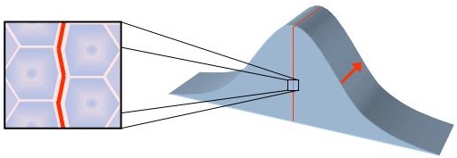 029 - Stabilized overpressure — Stationary modes of the Θ field (closed inflareaction) Multi-scale visualization of a stabilized overpressure: compressed Θ cells giving rise to a stationary mode of the Θ field.