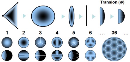 032 - Transions (Φ) — Sites of spationic transfer of order k Illustration of different types of transions according to the number of spations transferred simultaneously, from 1 to 36, represented by spherical passage structures.