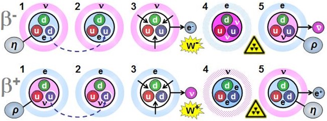 049 - β decay — Proton–neutron rebalancing by flavor layers β decay — Proton–neutron rebalancing by flavor layers