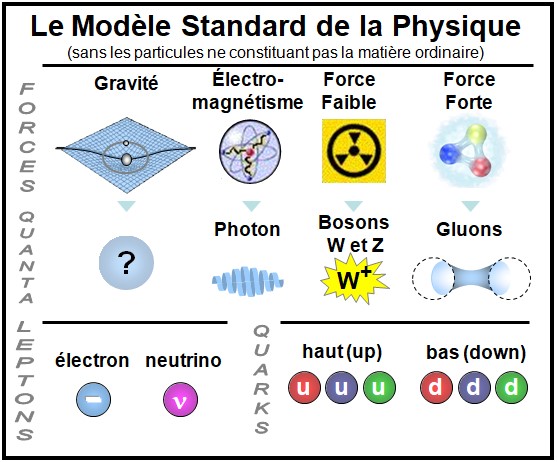 017 - Modèle Standard — classes de particules et interactions fondamentales Schéma simplifié du Modèle Standard présentant les forces fondamentales et les familles de particules, incluant bosons, leptons et quarks.