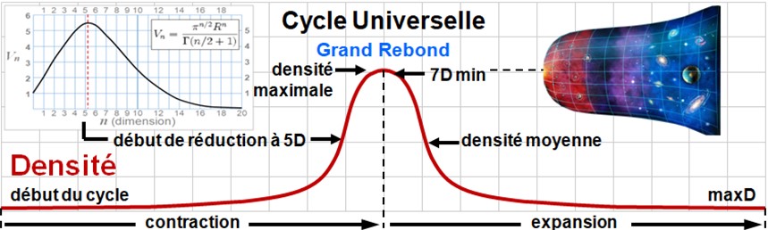 074 - Cycle cosmologique CdR — transitions dimensionnelles et rebond Graphique illustrant le cycle universel : la densité de l’univers augmente progressivement durant la contraction, atteint un maximum au moment du Grand Rebond, puis diminue lors de l’expansion. Une coupe de l’univers en expansion est visible à droite. En haut à gauche, un graphique montre le volume d’une hypersphère selon le nombre de dimensions.